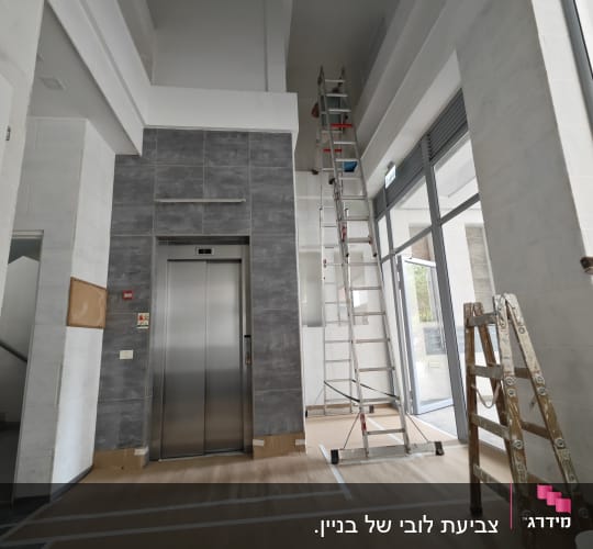 סולם גבוה ליד קיר צבוע בלבן